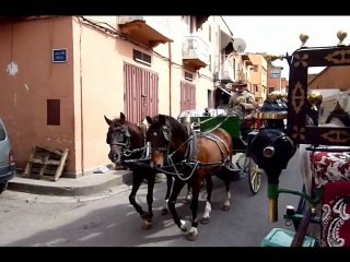 Marrakech Médina en calèche