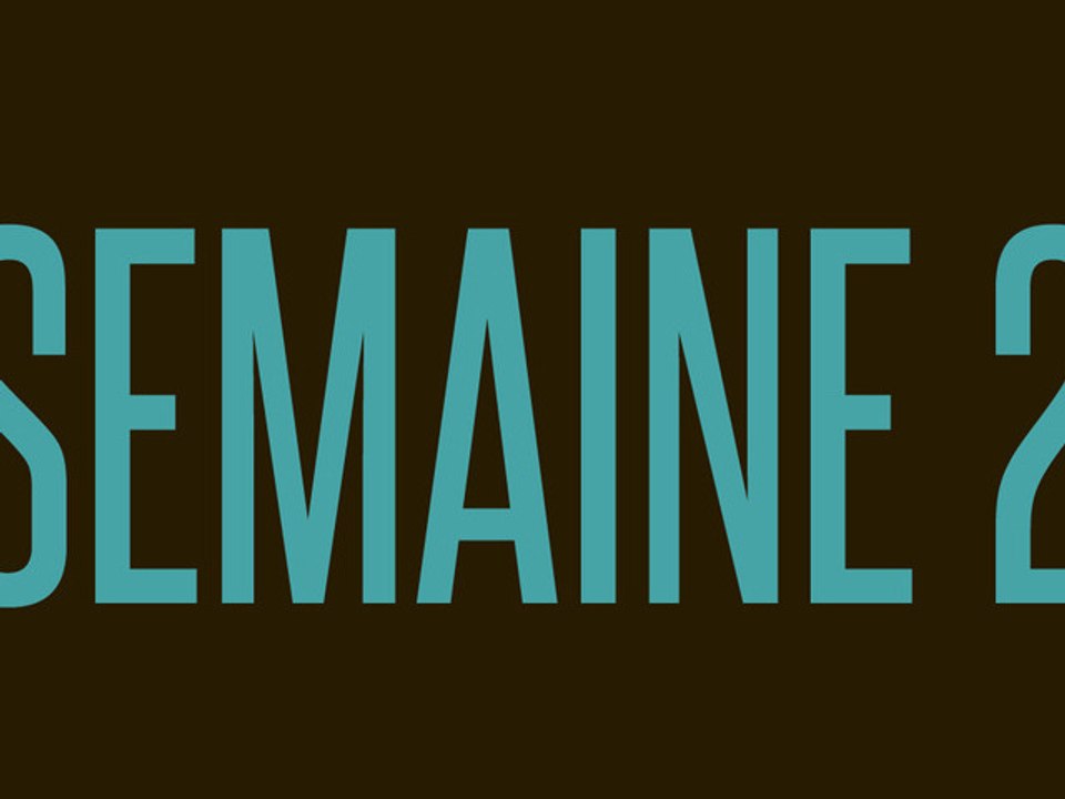 CHIEN / Semaine 2