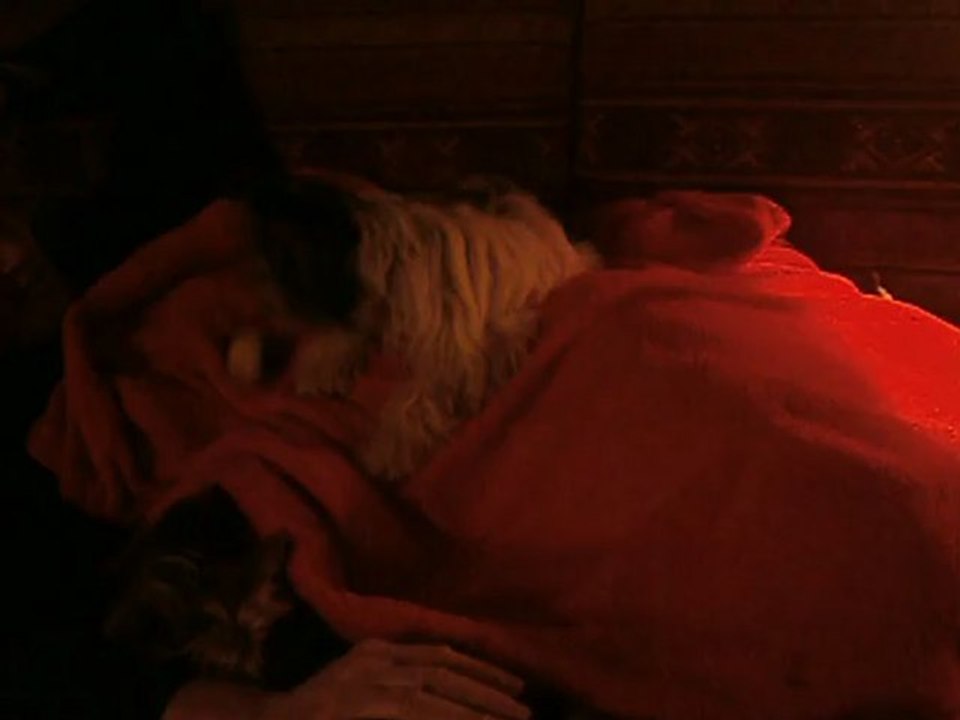 LA BALLE QUI ROULE (1)