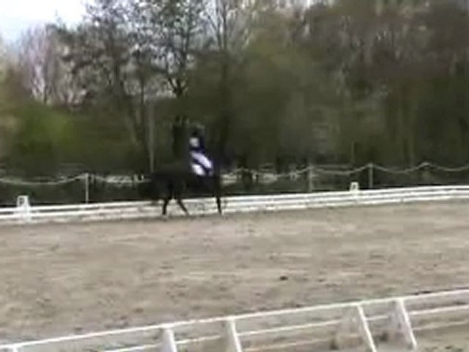 dress sophie fontenay 12