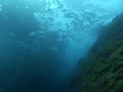 Gabinière Port Cros avril 2012