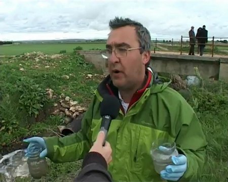 GRAVINA: UN AFFARE CHE PUZZA MATERA 14-4-2012