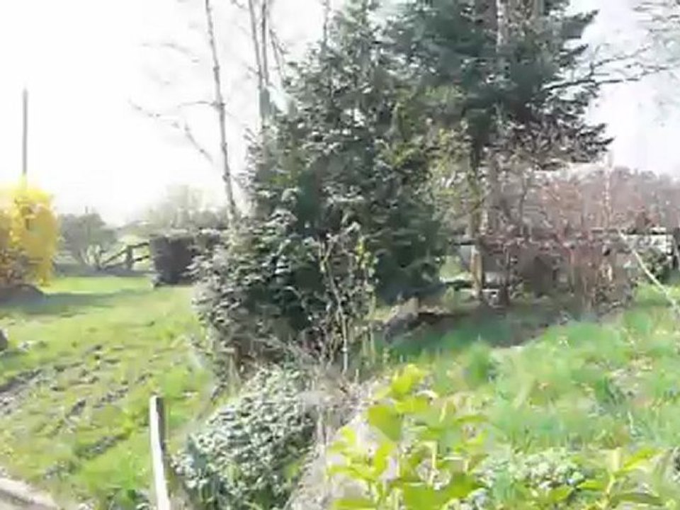 Entrainement cross avec Luc Pirick de la Fagne st Remacle Theux Belgique