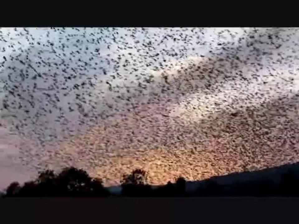 Nous 2 et rien d'autre