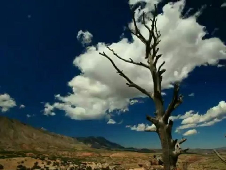 Frank Zappa -  Finding Higgs' Boson