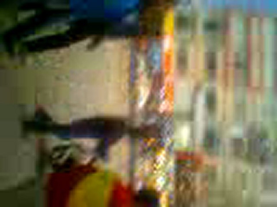 Video0017