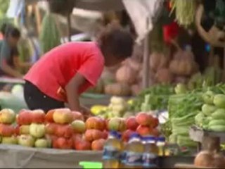 East Timor attempts to answer food crisis - 27 Apr 08