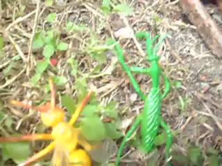 A Bugs life s1 e3 the camping trip.