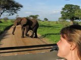 [Por onde andei] [Viagem 05] [Safaris na Africa 1-6]