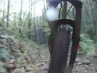 Daniel Ridge MTB Trail in Pisgah North Carolina DH