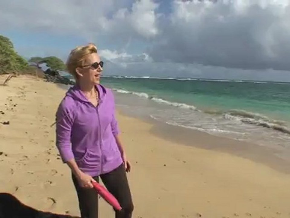 Beachwalks 769 - Get Off Your Case!