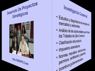 "Negocios Internacionales"  Puerto Rico - San Juan Global Business Matchmaking