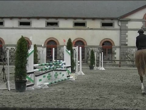 UN LYS DU GUILLY lamb1