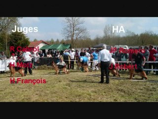 Régionale d'élevage de Luzillat 63