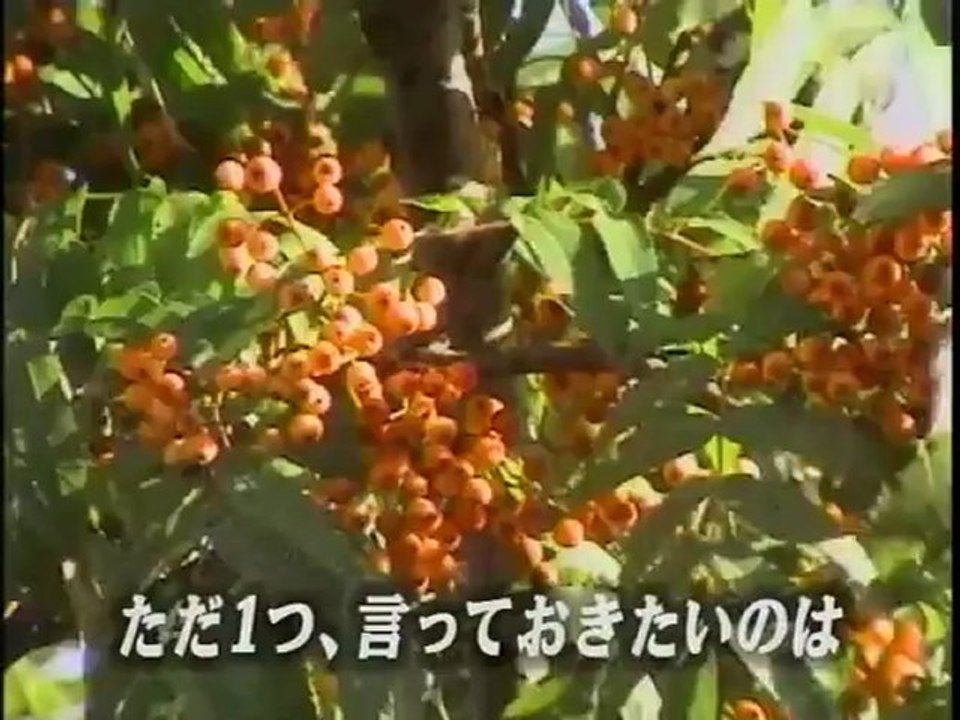 sakusaku - 2004.11.25　 黒幕の友人絶賛　江別の歌　3/4