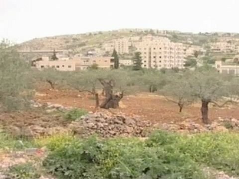 Израиль и Турция задержали активистов «флайтилии»