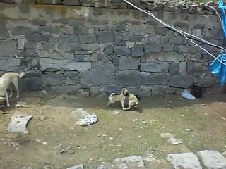 kocabaş geleceğin meydancısı