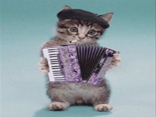 Kedicik - Grup Şurup