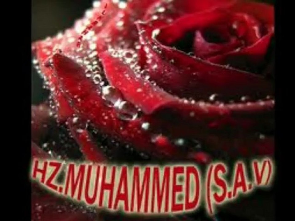 KUTLU DOĞUM HAFTASI KUTLAMA PROGRAMI