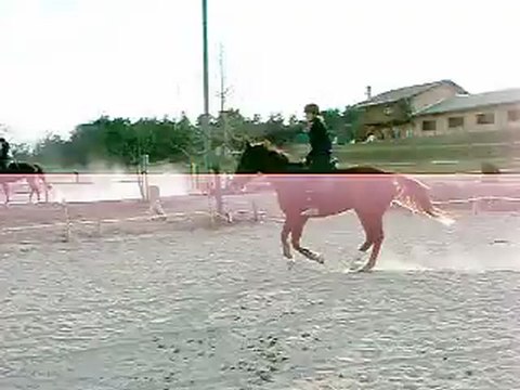 Thalweg de chamourin 3 allures