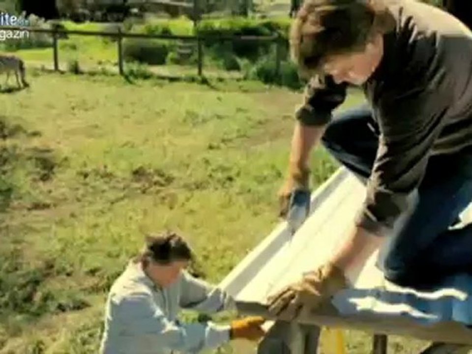 A Look Inside Wir Kaufen Einen Zoo