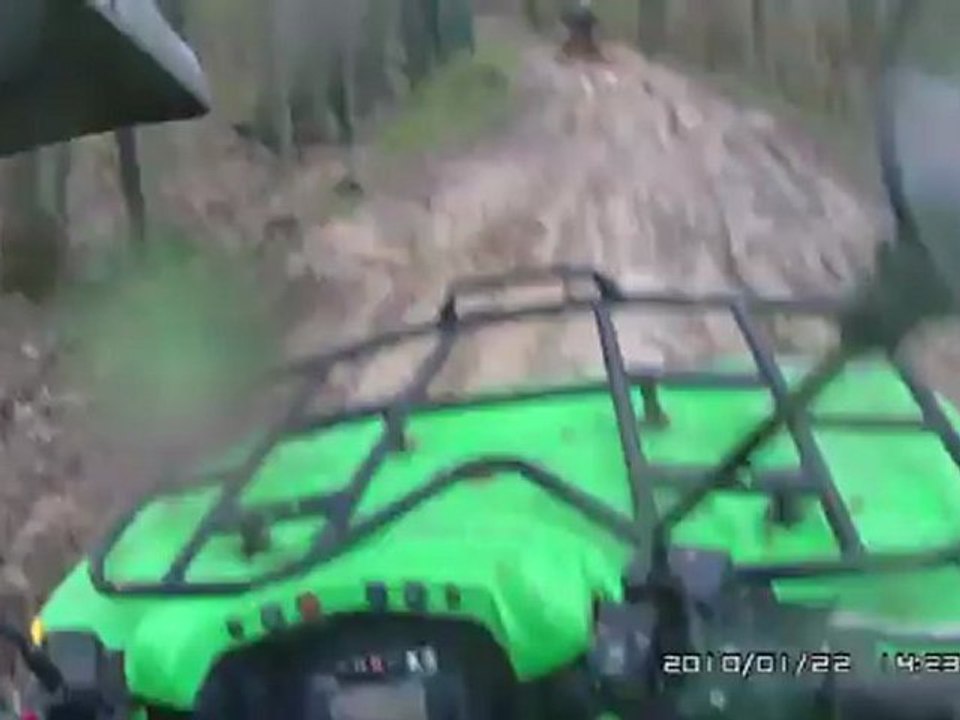 en foret