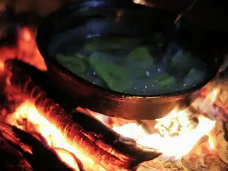 Tapâm - a flyfishing journey