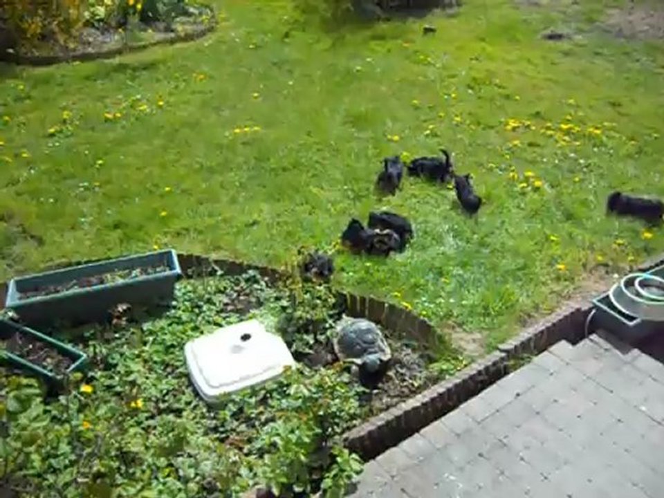 bbs au jardin