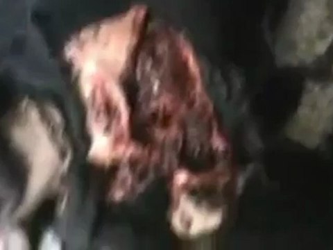 فري برس حمص الشهيد طلال الحموي +18 حمص البياضة 15 4 2012 Homs