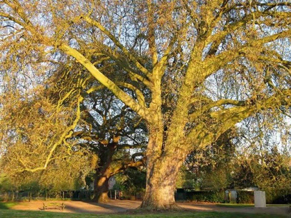 L'Aigle photographies