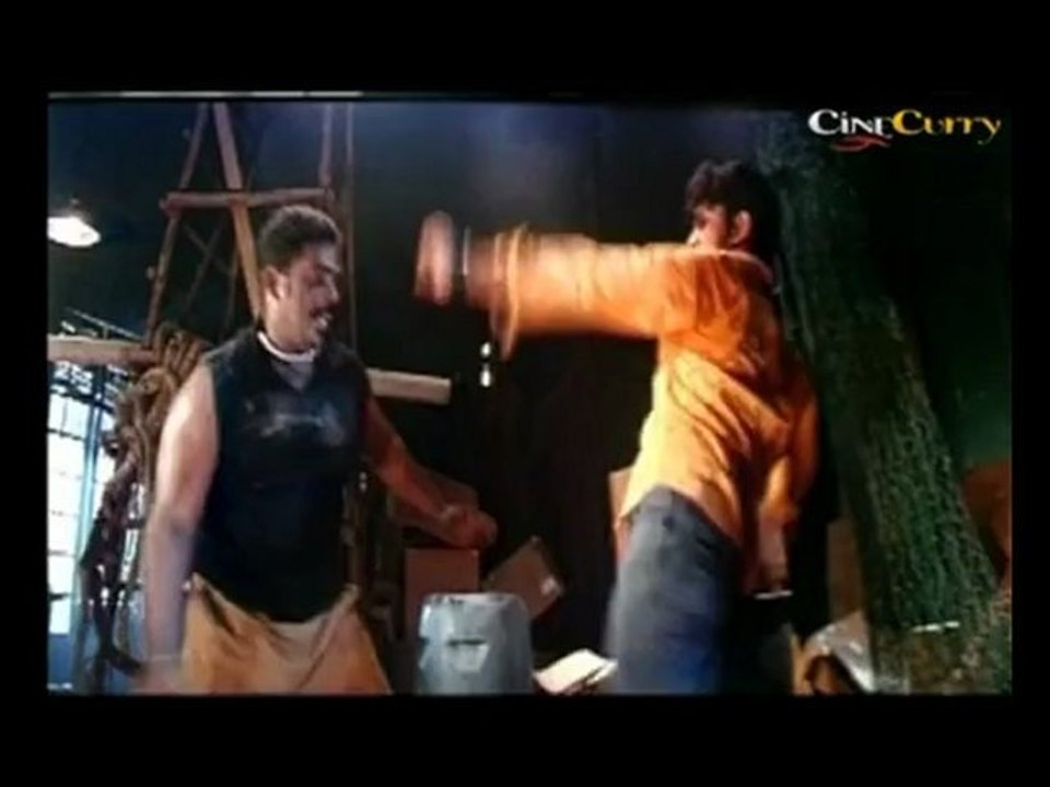 Action Scene From Julayi