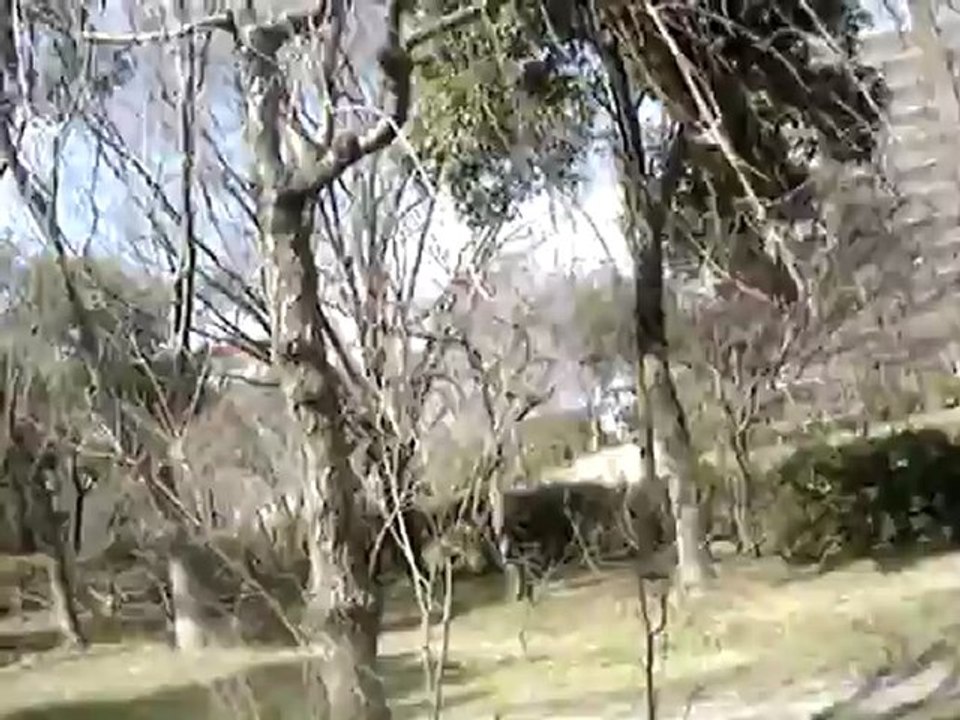 Parc Chigonokuchi