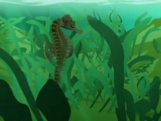 HIPPOCAMPE seahorse Flash animation