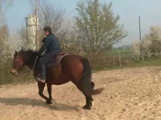 05.04.2012.f.tenebra.8trot