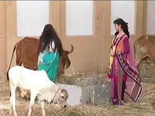 Ch Ba - 16th April 2012 - P1