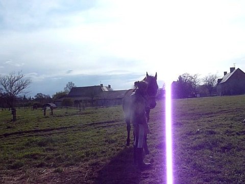 ♥Joyeux Anniversaire Mon Gros Bébé ♥