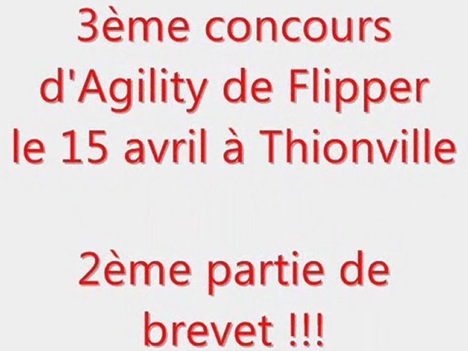 3éme concours agility Flipper