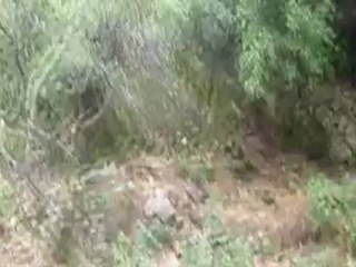 KURŞUNLU MANASTIRI-Davutlar