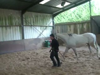 14.04.2012.c.sing.s8