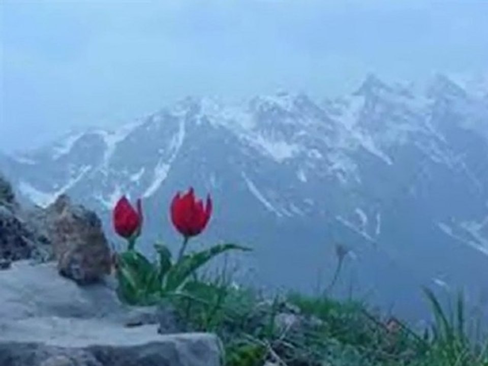 Ey Menim Sahib Zamanim Hardasan