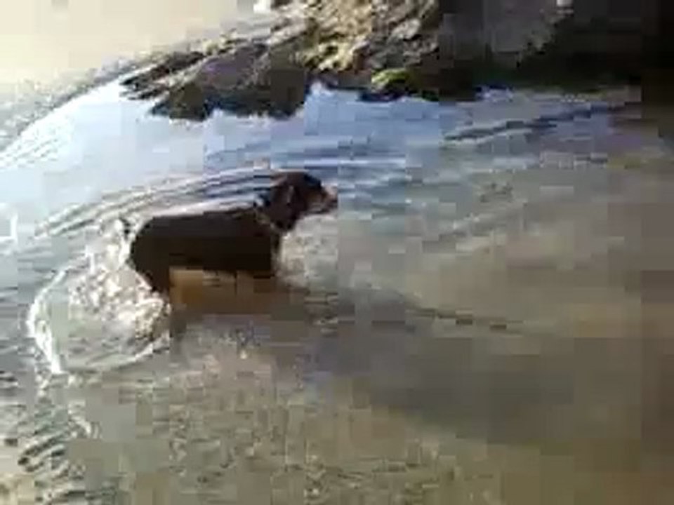 Vidéo-0004