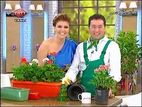 GÜLBEN - Erkan Şamcı'dan Hamam Kültürü ve Sağlığa Faydaları ile Sardunya Çiçeği Ekimi 16.04.12