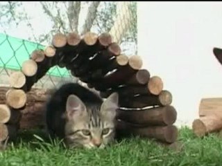 Riz Khan - Street Talk - 21 Aug 07