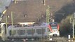 Züge bei Braubach am Rhein, ERS 189, SBB Cargo Re482, 145, 2x 185, 3x 428