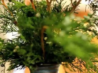 Beauty Salon Kingscourt Kingston Maison Paul Coiffure