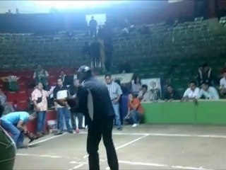 Segunda Pelea Feria del Caballo