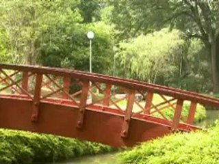 Saving the Rainforests in Indonesia - 24 Sep 07