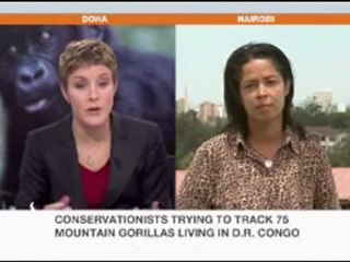 Africa's endangered mountain gorillas - 25 Sep 07