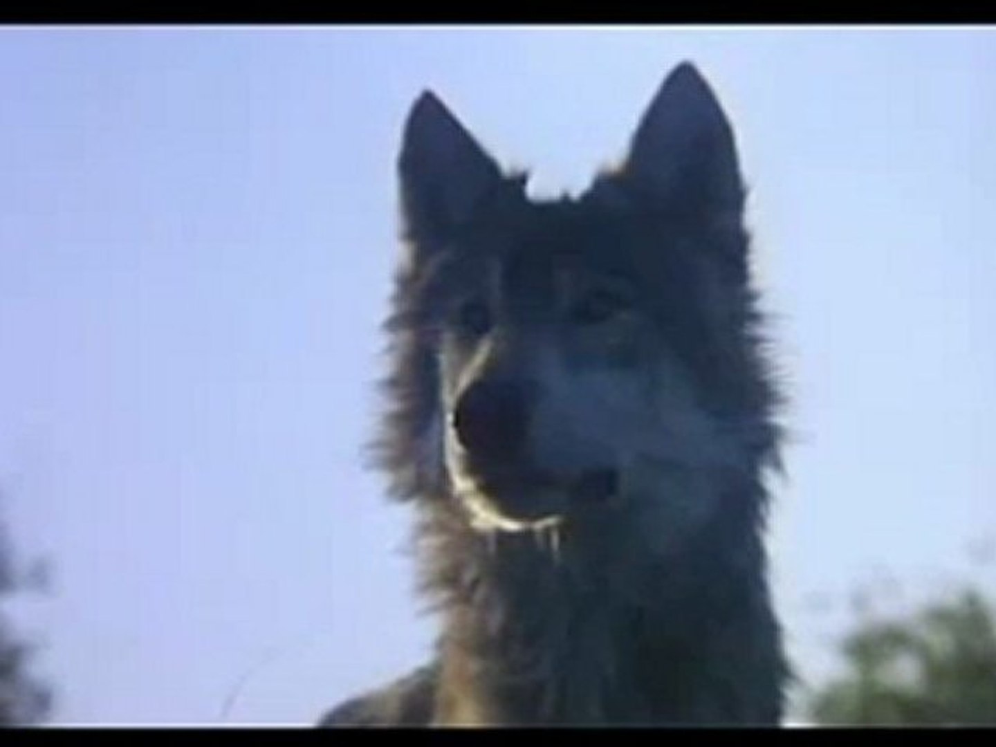 Dances with wolfs-Farewell & end title by John Barry - Vidéo Dailymotion