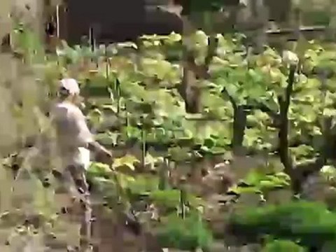 Global Living Room: Gomera | Global 3000